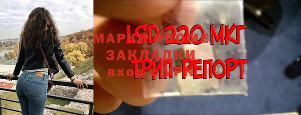 прущие грибы Горно-Алтайск