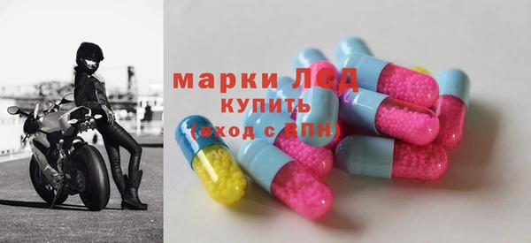 прущие грибы Горно-Алтайск