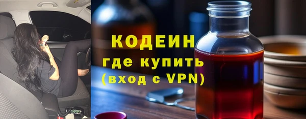 прущие грибы Горно-Алтайск
