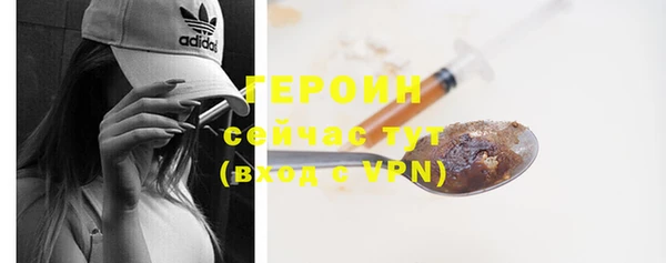 прущие грибы Горно-Алтайск