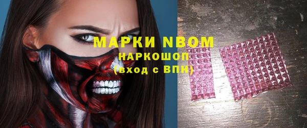 прущие грибы Горно-Алтайск