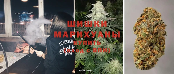 прущие грибы Горно-Алтайск