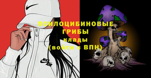 дживик Вяземский