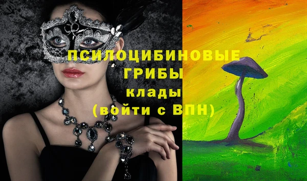 mdpv Горняк
